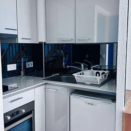 アパート Mezzanine 4 Pers Avec Terrasse Et Parking - Fr-1-249-449